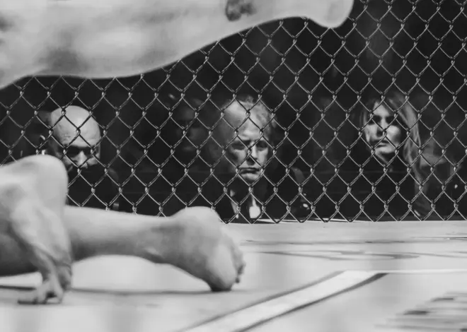 The Surreal Spectacle of Trump’s White House Cage Fights