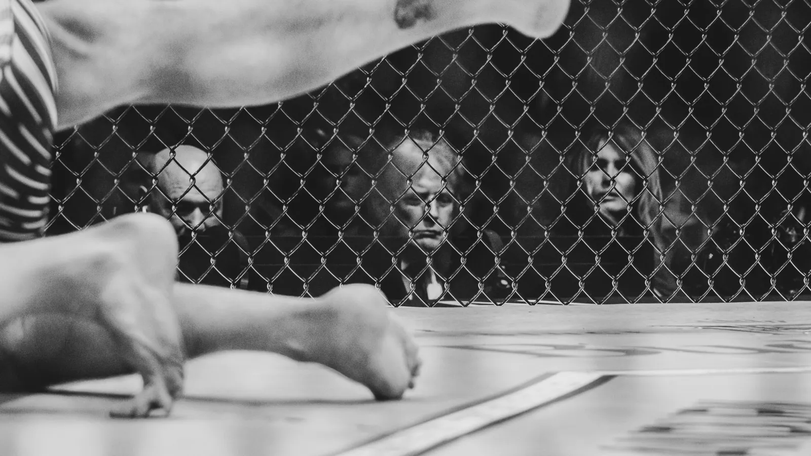 The Surreal Spectacle of Trump’s White House Cage Fights