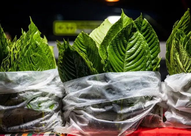 Why Is the DEA Targeting Kratom, an Opioid Replacement Drug?