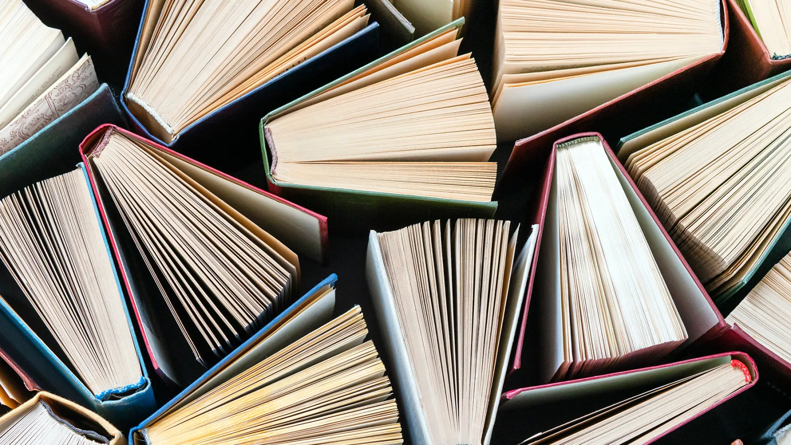 Because We All Weren’t Tired Enough — Dictionary.com’s Word of the Year Is Maxxing
