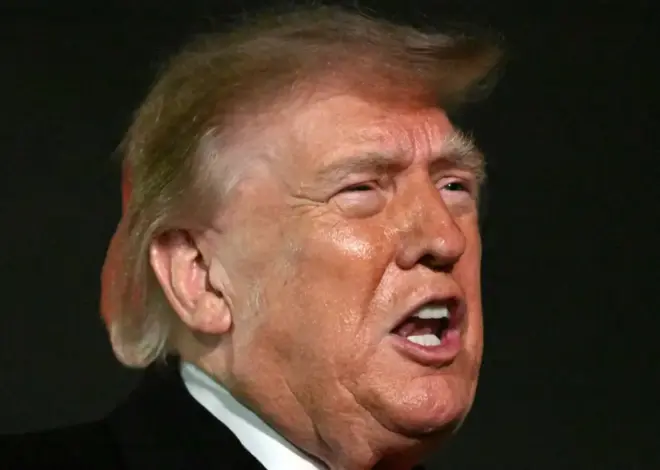 Why Is the President Posting Videos of Animals Mauling People?