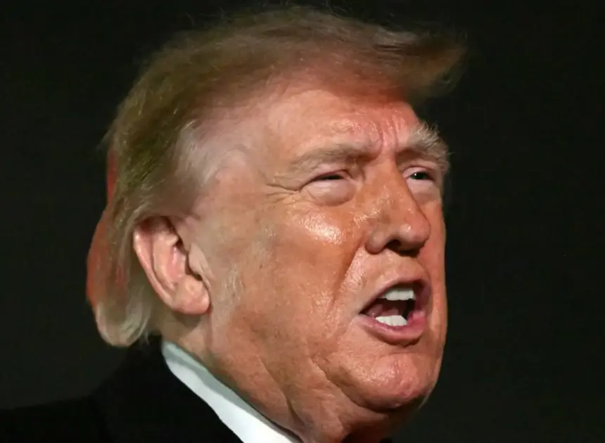 Why Is the President Posting Videos of Animals Mauling People?