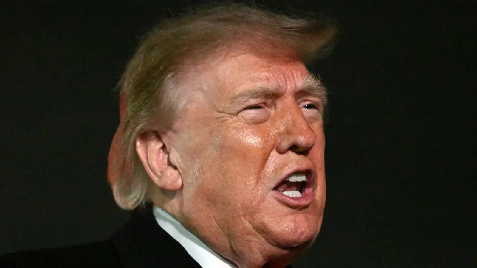 Why Is the President Posting Videos of Animals Mauling People?