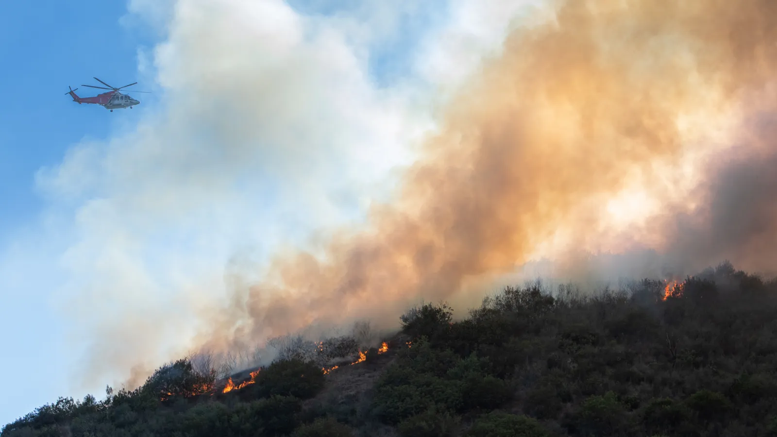 Fired Government Scientists Are Finding New Ways to Spread the Word on Climate Change