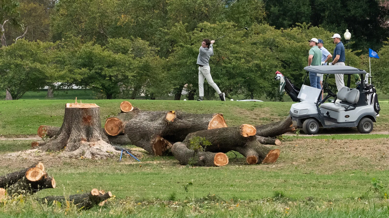 Judge Tears Into Trump Admin. for Cutting Down D.C. Trees: ‘Beyond Upset and Furious’
